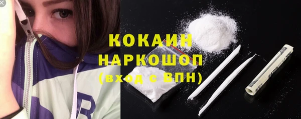 амф Бородино