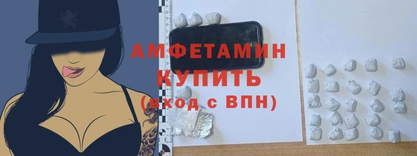 гидра Верея