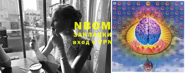 гидра Верея