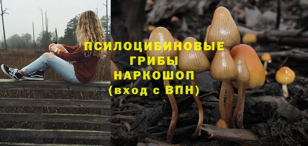 ешки Верхнеуральск